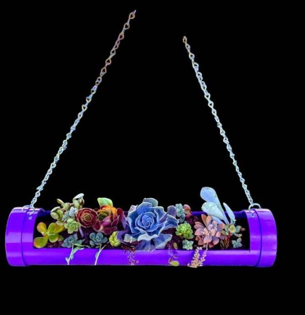 Succulents Hanging Planter  Purple