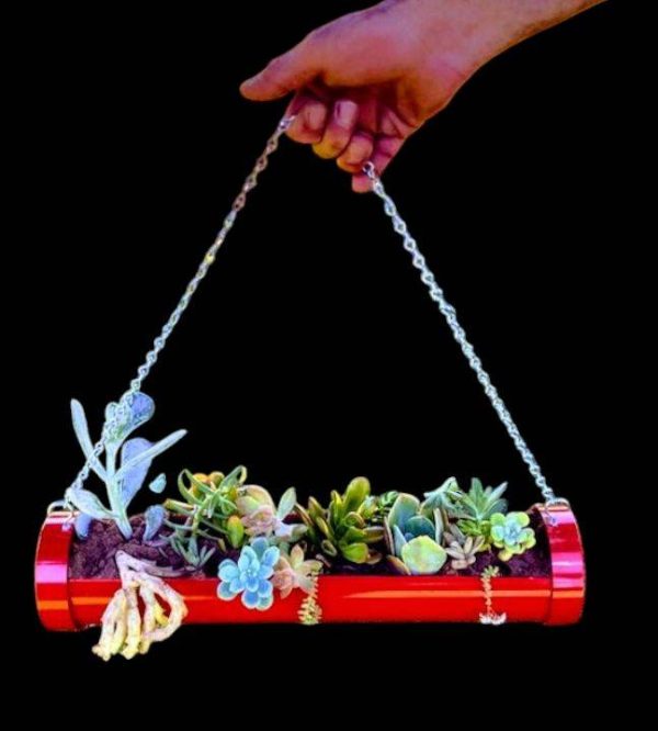 Succulent Hanging Planter  Valentine