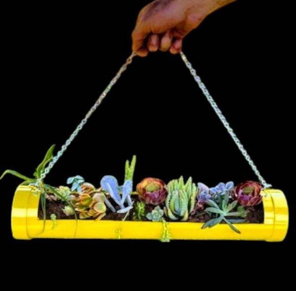 Succulent Sunshine Hanging Planter